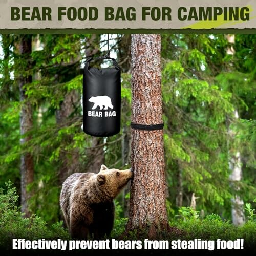 Bear looking at a food bag hanging on a tree.