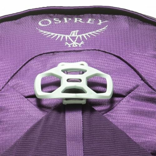 Close-up of a purple Osprey backpack with a white clip.