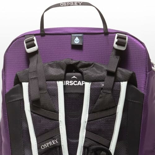 Purple Osprey backpack with black straps.