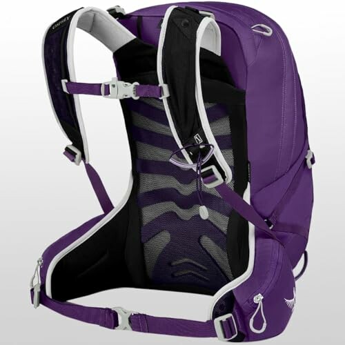 Purple hiking backpack with adjustable straps